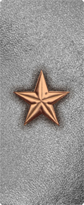 Star Bronze-Silver